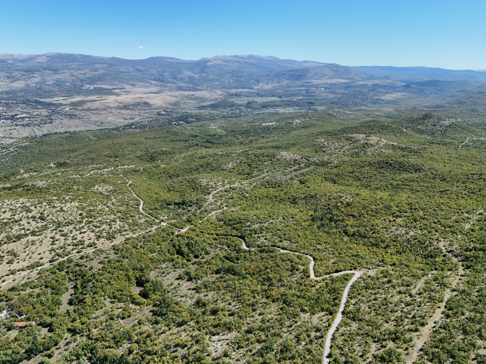 Umljanovići